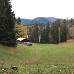 Hundetreffen 2018 im Allgäu (2)